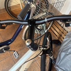 LOUIS GARNEAU LGS-CASPER 3X8S サイズ420の画像