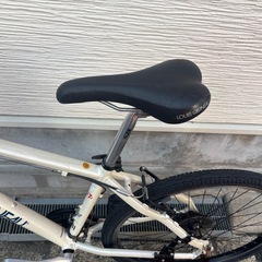 LOUIS GARNEAU LGS-CASPER 3X8S サイズ420の画像