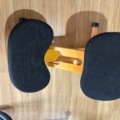 背筋ピン！バランスチェアーの画像