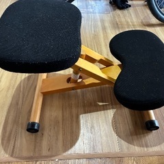 背筋ピン！バランスチェアーの画像