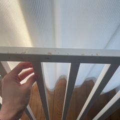 そいねーるⅢの画像