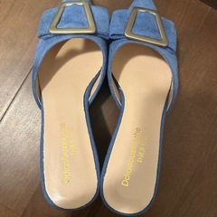 ミュールの画像