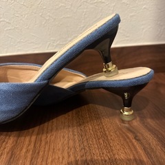 ミュールの画像