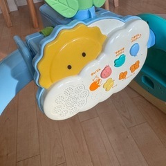 プーメリーの画像