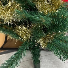 クリスマスツリーの画像