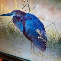 DELL モニター パソコン用 ST2220Lb  モデル液晶モデル 画像繊細の画像