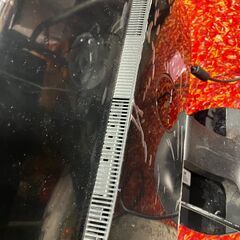 DELL モニター パソコン用 ST2220Lb  モデル液晶モデル 画像繊細の画像