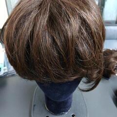 ウイッグの画像