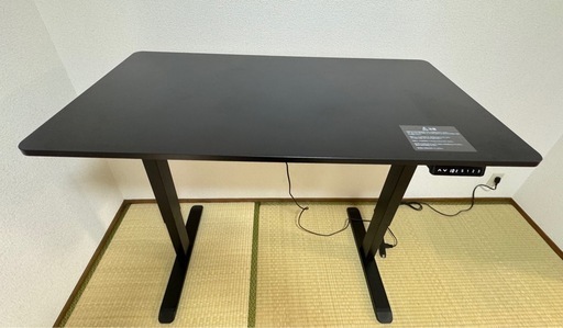 山善 電動昇降デスク AED-1260 ブラック（120×60cm／高さ71-116cm調整可／USBポート付き）