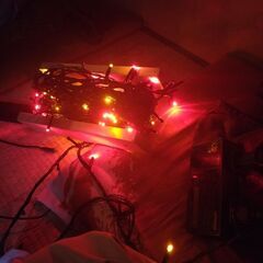 タカショーのイルミネーションライトストレートLED200球の画像