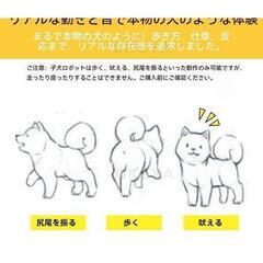 犬のぬいぐるみ 動く 鳴く おもちゃ ロボット犬 電子ペット わんちゃん 犬 ぬいぐるみ おしゃべりぬいぐるみ ペット しゃべる おもちゃ 女の子　 新品未使用　高品質　仕入れ　問屋価格　卸価格　倒産品　まとめ買い歓迎　卸　おろし　卸し　アマゾン　amazon　引き上げ品　倒産品　ネット商材　フリマ商材　景品　コンペ　忘年会　新年会　クリスマス会　新品　未使用の画像