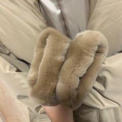 Diagram GRACE CONTINENTAL ベージュ ダウンコート36の画像