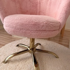 貝殻の椅子の画像