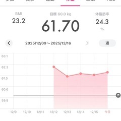 FINCオリジナル体組成計の画像