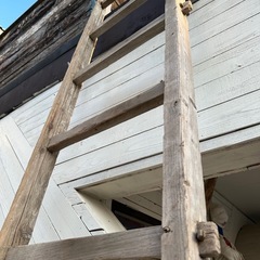 ハシゴ ビンテージ アンティーク 木製の画像