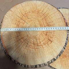 クッション2枚の画像