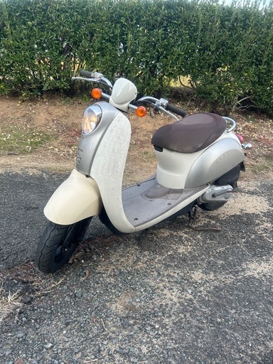 スクーターよく走るスクーピー
