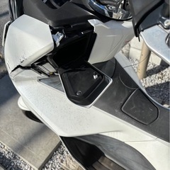 ホンダ　PCX  jf56
の画像