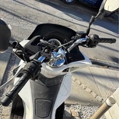 ホンダ　PCX  jf56
の画像