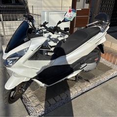 ホンダ　PCX  jf56
の画像