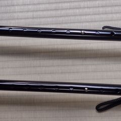 杖　ステッキ　かるがもE４点DX伸縮S・M兼用　ブラックの画像