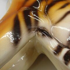 タイガー 置物 虎 ベンガルトラ イタリア製 陶器 高さ32cm 縁起物 オブジェ 札幌 手稲の画像