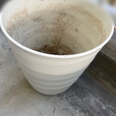 プランター　ガーデニング　クーラーポット27型の画像