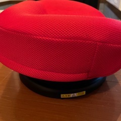 体幹ゆらゆらバランスクッションの画像