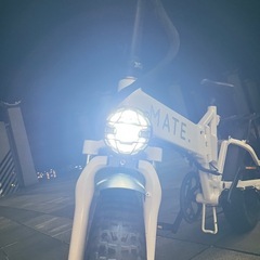 MATE X 250 E-BIKE 激安価格の画像