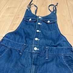 チャオパニックサロペットの画像