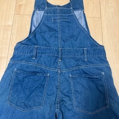 チャオパニックサロペットの画像