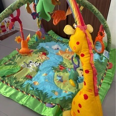 フィッシャープライス レインフォレスト デラックスジムの画像