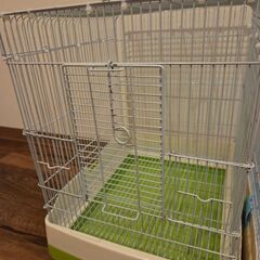 サンコー イージーホームバード まとめ売りの画像