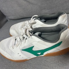 体育館シューズ 26.5cmの画像