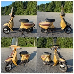 旧車 YAMAHA Salient ヤマハ サリアン CA50E（14T）実動 木目グラフィック ゴールドウッド ウインドシールド 風防付きの画像