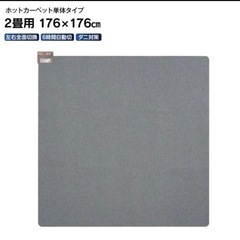 【お譲り予定の方決まりました】ホットカーペットの画像