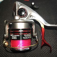 09テクニウムファイアブラッドの画像