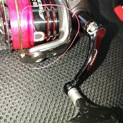 09テクニウムファイアブラッドの画像