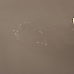 TOSHIBA 37インチ液晶テレビ(37ZV500)の画像