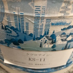 ケツロナインの画像