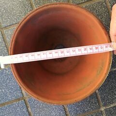 植木鉢の画像