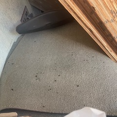 無料ですの画像