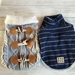 小型犬の服　雄用　6種類の画像