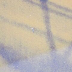 【わけあり未使用品】平山郁夫　額装複製アートポスター ＜流沙浄土変＞ オフセット印刷画　シルクロード夕焼け　巾683mm　高さ534mm　厚15mm　※異物の混入あり　【非対面取引です】　　　の画像