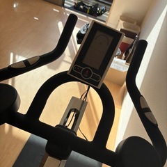 HAIGE(ハイガー) 渦電流 スピンバイク eX5 静音 家庭用 エクササイズバイクの画像