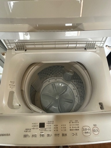 2023年製 TOSHIBA 5kg 洗濯機
