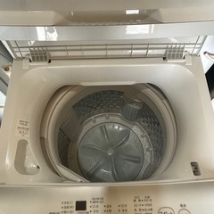 2023年製 TOSHIBA 5kg 洗濯機の画像