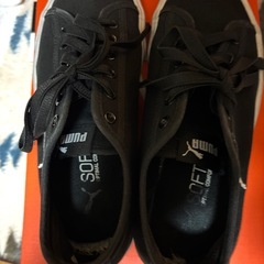 PUMAレディーススニーカー　23.5cmの画像