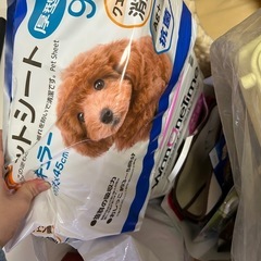 決まりました。犬グッズ　の画像