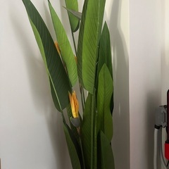 造花の観葉植物の置物の画像